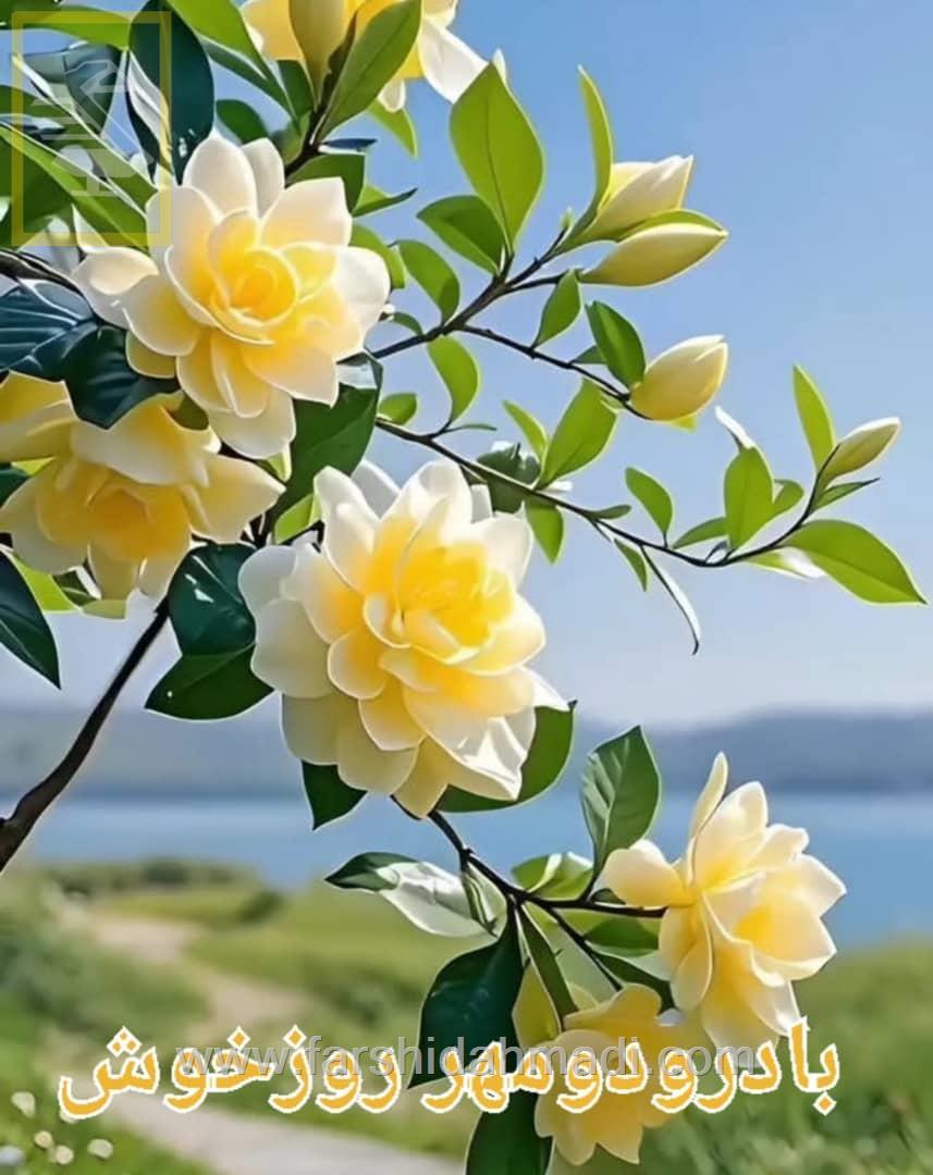  بیان ساده مطالب هنریست بزرگ