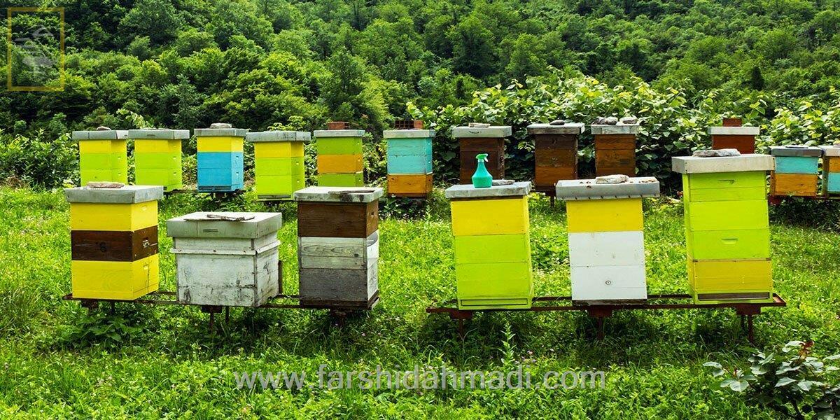  The most important sensors used in modern beekeeping