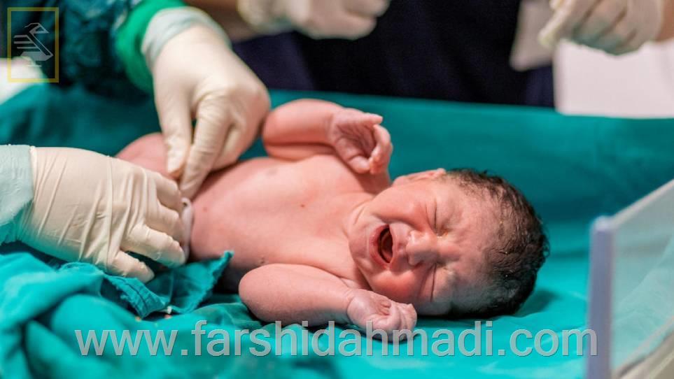 آیا ما به میل خودمان به دنیا می‌آئیم